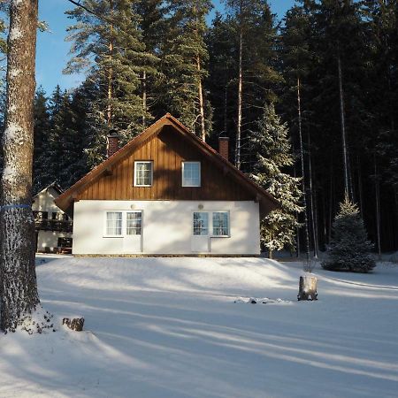 Hotel Lojzovy Paseky Frymburk Exterior foto